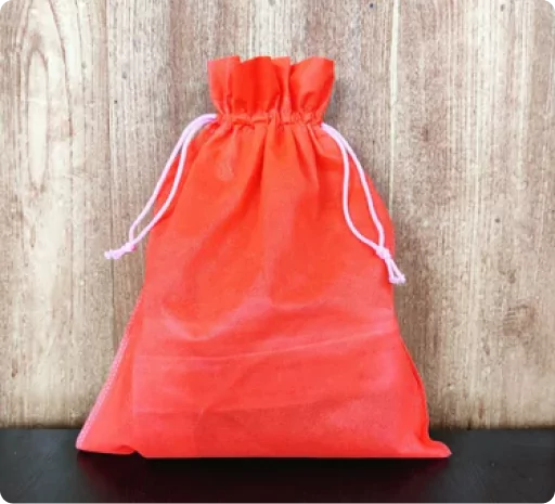 Nonwoven Pouch